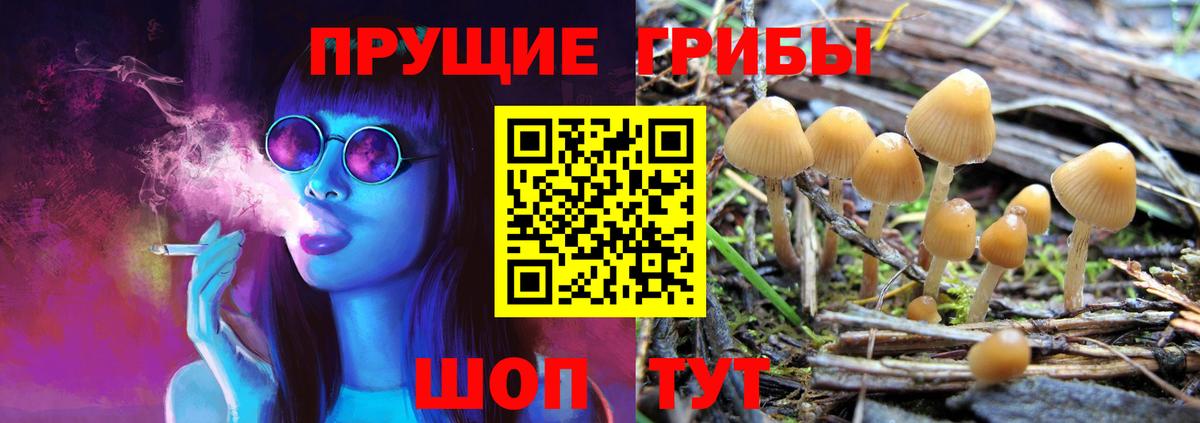 где купить наркотик  Псилоцибиновые грибы Psilocybine cubensis  Вход с VPN  Чита 